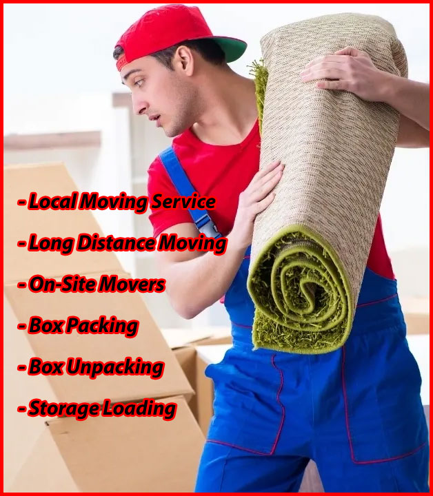 Packers And Movers Noida Sector 95